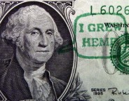 CTN - 5.19.11 - Hemp