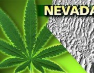 1508_615316951819403_1515712284_n