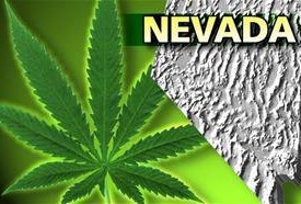 1508_615316951819403_1515712284_n