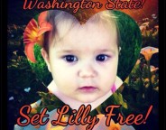 559796_584450214946624_31109687_n