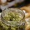 CT  CT-BIZ-WORKPLACE-MARIJUANA-A-CTMAIN 1027 SR